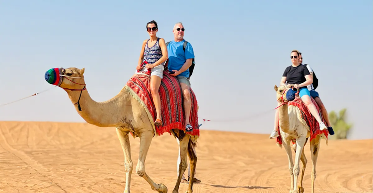 Two camels with decorative saddles carry four people across sandy desert dunes under a clear blue sky.