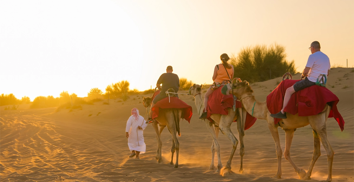 A group of people riding camels through a sandy desert at sunset, guided by a person in traditional Middle Eastern attire walking alongside them. The camels have red saddles, and the scene is bathed in warm, golden light with desert vegetation in the background