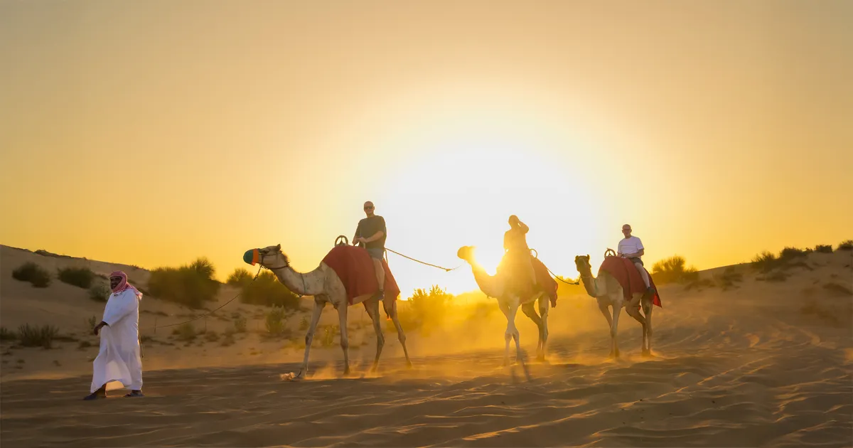 A group of people ride camels across sand dunes in a desert at sunset. The sun is low on the horizon, casting a warm golden glow over the scene. The silhouettes of the riders and camels are clearly visible, with dust rising from the sand beneath their feet. A person dressed in traditional attire leads the camels, walking ahead of the group. Sparse vegetation and rolling dunes fill the background.